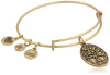 alex and ani because i love you, friend ii expandable rafaelian gold-tone bracelet