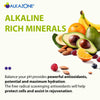 ALKAZONE Balance Your pH Antioxidants Alkaline Mineral Booster & Supplements (2 Packs)