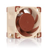 Noctua NF-A4x20 FLX, Premium Quiet Fan, 3-Pin (40x20mm, Brown), compatible with Desktop