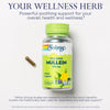 SOLARAY Mullein Leaf 330 mg - Soothing Herbal Support - Traditionally Used to Support Health and Wellness - Vegan, Non-GMO, Lab Verified, 60-Day Money-Back Guarantee, 100 Servings, 100 VegCaps