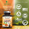 Turmeric Curcumin with BioPerine & Ginger 95% Curcuminoids 1950mg - Black Pepper Extract for Max Absorption, Nature's Joint Support Supplement, Herbal Turmeric Pills, Vegan Non-GMO - 180 Capsules