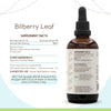 Bilberry Leaf B120 Alcohol-Free Herbal Extract Tincture, Super-Concentrated Made with Bilberry (Vaccinium Myrtillus) Dried Leaf 4 fl oz