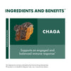 Host Defense Chaga Extract - Immune System Support Supplement - Chaga Mushroom for Antioxidant Activity Support - Liquid Dietary Mushroom Supplement - 2 fl oz (60 Servings)*