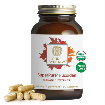 PURE SYNERGY SuperPure Fucoidan Extract | Organic Fucoidan Supplement | Gluten-Free Fucoidan from Brown Seaweed | for Immune Health, Digestion, and Healthy Aging (60 Capsules)