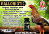 VITOFARMA Gallobiotic Natural Multivitamin for Rooster, Hens - 100 Tablets | Vitamina Completas para Gallos