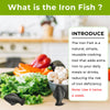 Iron Fish, 2 Pack Iron Fish for Iron Deficiency, A Natural Source of Iron, Safe Cooking Tool to Add Iron to Food and Water, Reduces Risk of Iron Deficiency, Ideal Iron Supplement for Anemia & Vegans