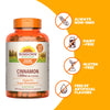 Sundown Cinnamon Capsules, Support Sugar Metabolism, Non-GMO, Free of Gluten, Dairy, Artificial Flavors, 1000 mg, 200 Capsules