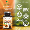 Turmeric Curcumin with BioPerine & Ginger 95% Curcuminoids 1950mg - Black Pepper Extract for Max Absorption, Nature's Joint Support Supplement, Herbal Turmeric Pills, Vegan Non-GMO - 120 Capsules