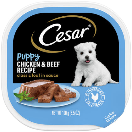 CESAR Puppy Soft Wet Dog Food Classic Loaf in sauce Chicken & Beef Recipe, 3.5 Ounce (Pack of 24) Easy Peel Trays