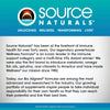 Source Naturals Magnesium Malate 3750 mg per Serving - for Energy Production* - 360 Tablets