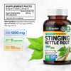 Stinging Nettle Capsules - Natural Urinary Tract & Overall Health Support - Organic Nettle Root Powder (Urtica Dioica) 1800 mg - 100 Vegan Pills - Non GMO