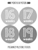 Months In Motion Pregnancy Weekly Belly Growth Stickers - Week to Week Pregnant Expecting Photo Prop - Maternity Keepsake - Baby Bump - Large Set of 36 Weekly Photo Sticker