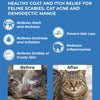 BestLife4Pets Demodectic Mange and Scabies Relief for Cats - Ear Mites & Itch Relief Supplements for Cat Itching Relief - Restores Healthy Feline Coat and Skin - Easy to Use Natural Pills