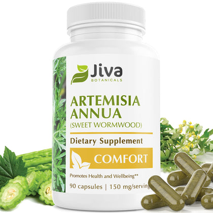 Jiva Botanicals Artemisia Annua Capsules - Sweet Wormwood Supplement - Wormwood Herb Extract from Sweet Wormwood Root - Leverage The Benefits of Wormwood Plant - 90 Capsules