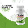 MediNatura T-Relief Pet Arthritis Relief Arnica +12 Powerful Natural Homeopathic Medicines Help Ease Hip & Joint Pain Soreness & Stiffness for Dog & Cat - 90 Tablets