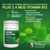 Dr. Berg Super Greens Powder w/Spirulina (Veggie Solution) - Raw Greens Powder Superfood - Vegetable Powder Supplement with Vitamins, Minerals, and Phytonutrients - 110 Servings