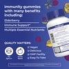 Sugar Free Immunity Gummies | Powerful Blend | Elderberry Vitamin C and Zinc | Vitamin D3 & Echinacea | Immune Support Supplement | Immune Support Gummies for Kids & Adults | Vegan | Non GMO | 90ct