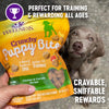 Wellness Crunchy Puppy Bites Natural Grain-Free Treats for Training, Dog Treats with Real Meat and DHA, No Artificial Flavors (Crunchy Chicken & Carrots, 6-Ounce Bag)