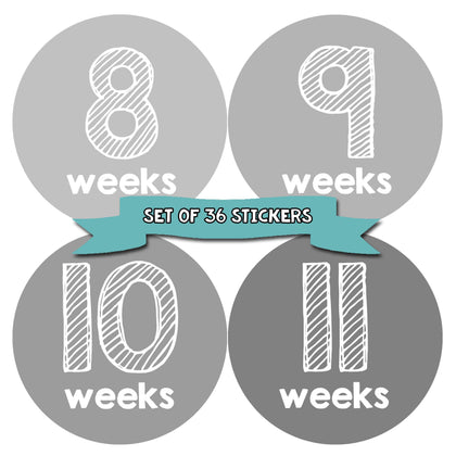 Months In Motion Pregnancy Weekly Belly Growth Stickers - Week to Week Pregnant Expecting Photo Prop - Maternity Keepsake - Baby Bump - Large Set of 36 Weekly Photo Sticker