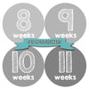 Months In Motion Pregnancy Weekly Belly Growth Stickers - Week to Week Pregnant Expecting Photo Prop - Maternity Keepsake - Baby Bump - Large Set of 36 Weekly Photo Sticker