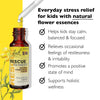 Kids Day & Night Bundle, Bach RESCUE Remedy Kids Dropper [and] RESCUE Sleep Kids Dropper- 2-Pk, Stress Relief & Sleep Support with Natural Flower Esssences, Homeopathic, Non-Alcohol Formula, 10mL Ea