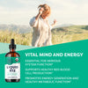 Vimergy USDA Organic B12, 115 Servings - Alcohol Free B-12 Liquid Vitamin - Supports Brain Energy, Nervous System, Cognition, Memory - No Gluten, Non-GMO, Vegan, Paleo, Naturally Sweet Flavor (115 ml)