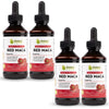 Maxx Herb Red Maca Root Extract - Max Strength Liquid Drops Absorb Better Than Powder or Capsules, for Stamina, Memory and Focus - Alcohol Free - 4 Bottles, 4 Oz Each (240 Servings)