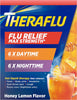 theraflu combo daytime and nighttime severe cold relief powder, honey lemon flavor, 12 count, 6 daytime and 6 nighttime (expiry -12/31/2024)