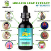 Undelio's Herbal Mullein Leaf Extract - Organic & Alcohol-Free Tincture for Respiratory, Lung, Sleep & Digestive Support - Non-GMO, Vegan - 2 fl. Oz for Immune Health & Lung Detox