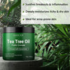 MAJESTIC PURE Tea Tree Oil Face Cream | Cream for Dry & Itchy Skin, Acne, Scar, Day & Night Moisturizer Face Cream for Women & Men | 8 Oz