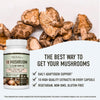 10 Mushroom Complex Supplement | 1300+ MG Blend with Lions Mane, Turkey Tail, Cordyceps, Reishi, Shiitake, Maitake, Chaga & White Button Mushroom Extracts | Immune & Adaptogen Support | 90 Capsules