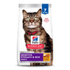 Hill's Science Diet Sensitive Stomach & Skin, Adult 1-6, Stomach & Skin Sensitivity Support, Dry Cat Food, Chicken & Rice, 7 lb Bag