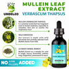 Undelio's Herbal Mullein Leaf Extract - Organic & Alcohol-Free Tincture for Respiratory, Lung, Sleep & Digestive Support - Non-GMO, Vegan - 2 fl. Oz for Immune Health & Lung Detox