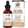 Lions Mane Mushroom Supplement | Up to 2 Month Supply | Nootropic USDA Organic Lions Mane Extract | Nervine Herbal Liquid Drops | Brain Health | Non-GMO, Vegan, Alcohol Free Tincture | 1 Fl Oz