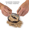 NATIONAL GEOGRAPHIC Dino Fossil Dig Kit - Dig Up a T.Rex Tooth Replica, Includes a Genuine Dinosaur Coprolite, Science Archaeology Paleontology Gifts for Boys and Girls