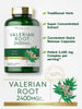 Carlyle Valerian Root Capsules | 240 Count | Herb Extract Supplement | Non-GMO, Gluten Free