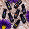 Essential Oil Set - Aromatherapy for Diffusers, Massage. Candle Making, Soaps, Bath Bombs. Top 8-10mL Oils: Lavender, Peppermint, Lemongrass, Tea Tree, Orange, Eucalyptus, Rosemary and Frankincense.