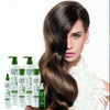 CHI Powerplus Starter Kit with Shampoo, Conditioner and Scalp Treatment