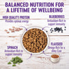 Wellness Complete Health Small Breed Dry Dog Food with Grains, Natural Ingredients, Made in USA with Real Turkey, For Dogs Up to 25 lbs, (Adult, Turkey & Oatmeal, 4-Pound Bag)