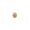 0.5 inch Beige Tiny Craft Pom Poms 100 Pieces