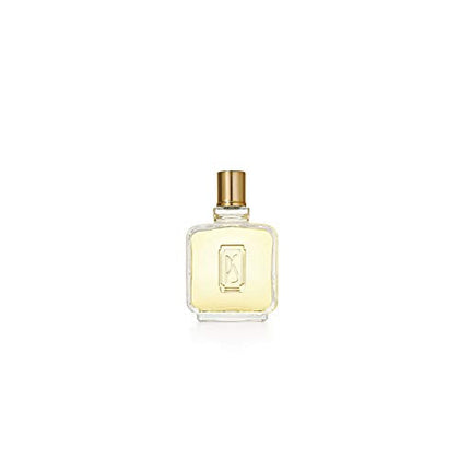 Paul Sebastian Men's Cologne Fragrance, Day or Night Scent, 4 Fl Oz