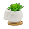 Cuteforyou Succulent Pots,Cute 4.72 Inch Indoor Animal Cow Shaped Cartoon Ceramic Succulent Cactus Flower Pot with Bamboo Tray -Plant Not Included