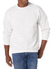 Hanes Men's EcoSmart Sweatshirt, ash, Small