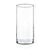 CYS Excel Clear Glass Cylinder Vase (H:9