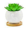 Cuteforyou Succulent Pots,Cute 4.72 Inch Indoor Animal Cow Shaped Cartoon Ceramic Succulent Cactus Flower Pot with Bamboo Tray -Plant Not Included