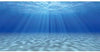 AWERT Undersea Theme Aquarium Background Sunshine Underwater World Fish Tank Background 30x18 inches