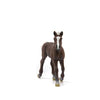 Schleich Farm World, Horse Toys for Girls and Boys, Black Forest Foal Baby Horse Toy Figurine, Ages 3+