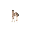 Schleich Horse Club, Horse Toys for Girls and Boys, Andalusian Foal Baby Horse Toy Figurine, Ages 5+