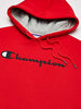 Champion Men's Hoodie, Powerblend, Fleece, Comfortable Sweatshirt for Men (Reg. or Big & Tall)