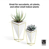 Umbra - 1004372-524 Trigg Desktop Planter Vase & Geometric Container-for Succulent, Air, Mini Cactus, Faux Plants and More, Desk, White/Brass